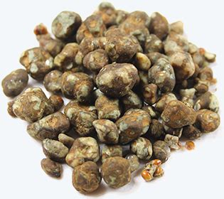 Order Magic Truffles Order Magic Truffles